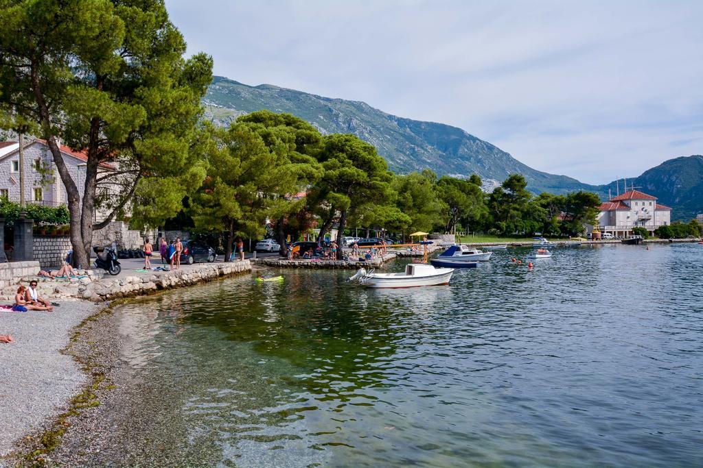 House 91 Kotor