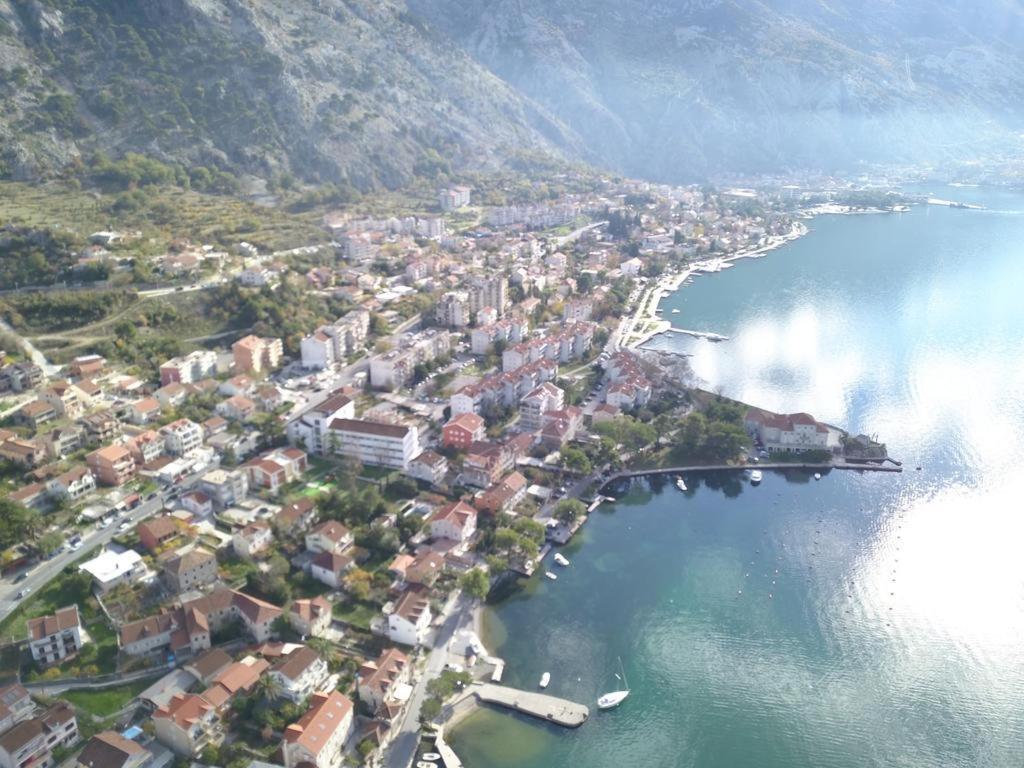 House 91 * Kotor