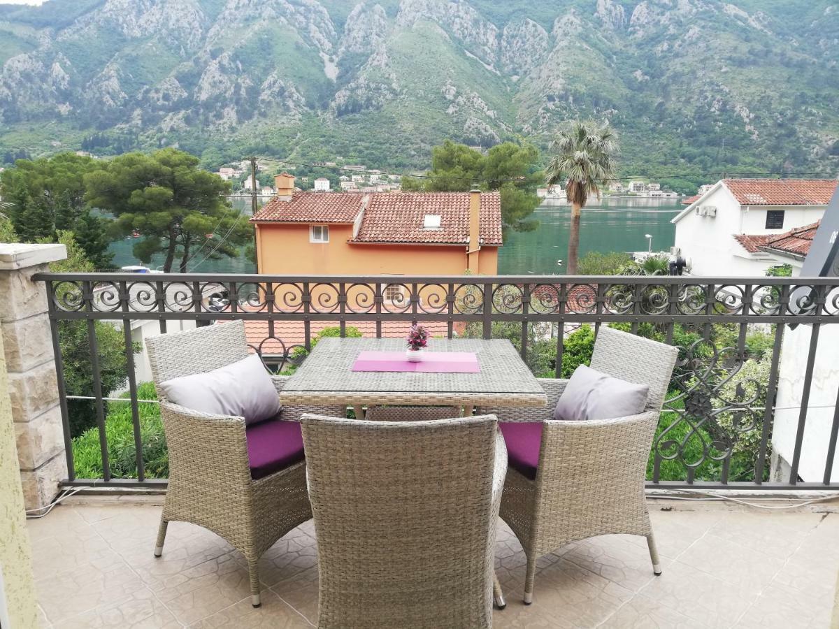 House 91 Kotor