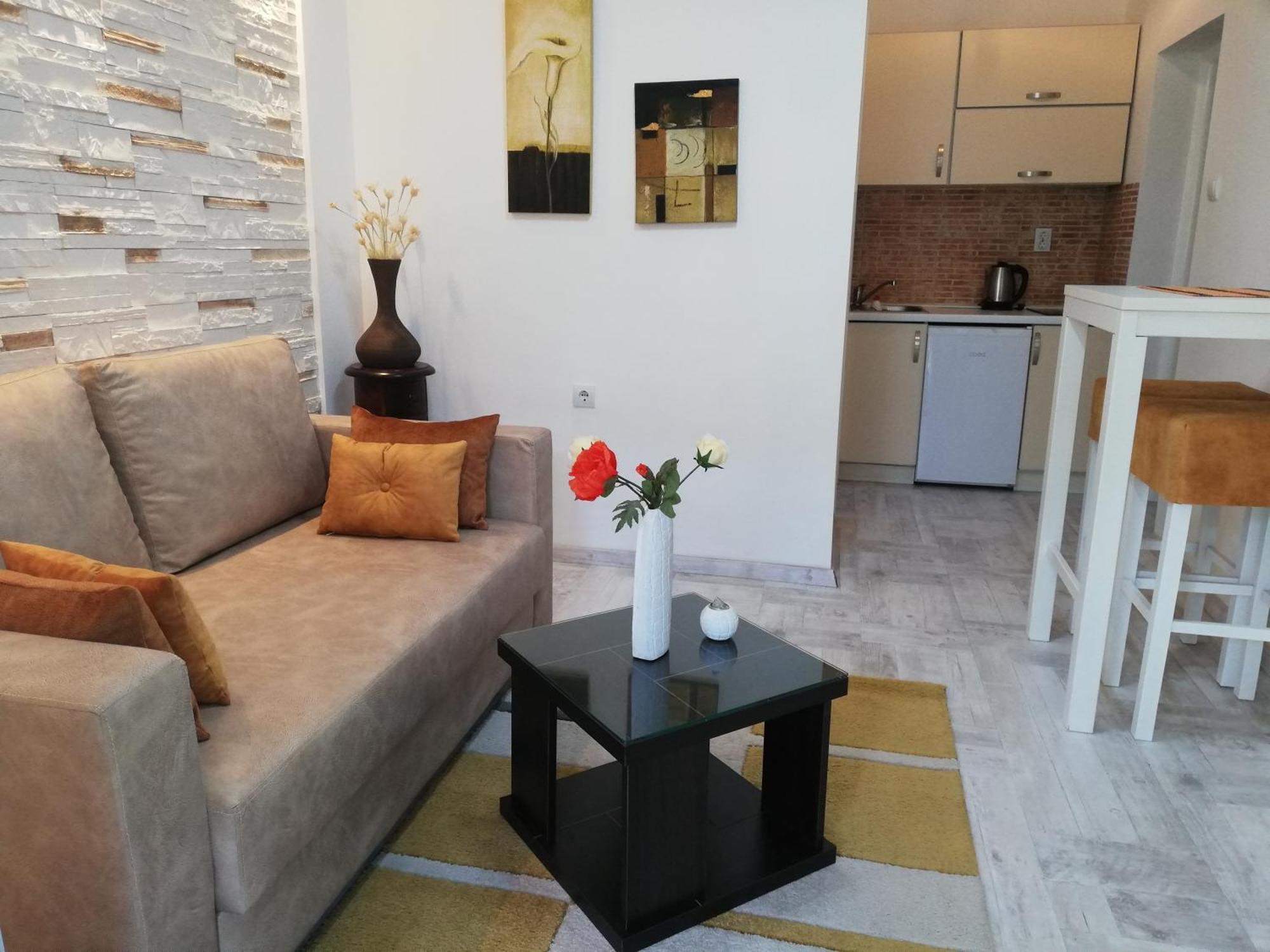 House 91 דירה קוטור